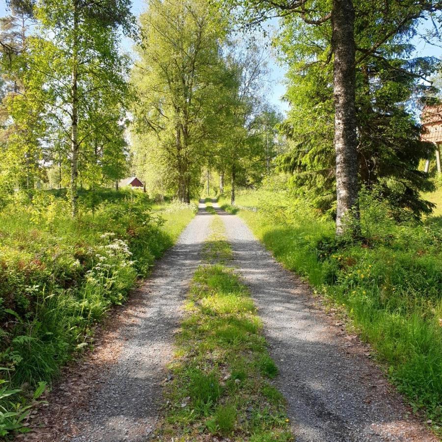 Cabin Near Lake And Beautiful Nature Reserve. Bodafors Экстерьер фото