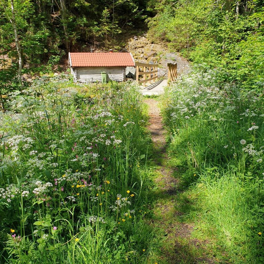 Cabin Near Lake And Beautiful Nature Reserve. Bodafors Экстерьер фото